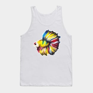 Colourful Betta fish Tank Top